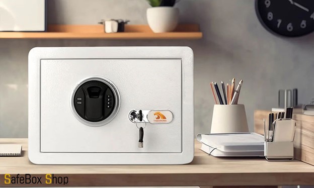 گاوصندوق گنجینه